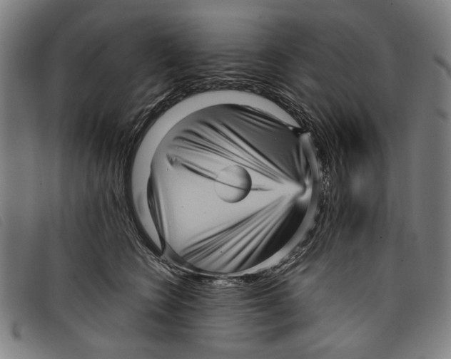 X0000097820566200804041401