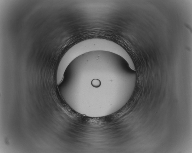 X0000097820568200804041401