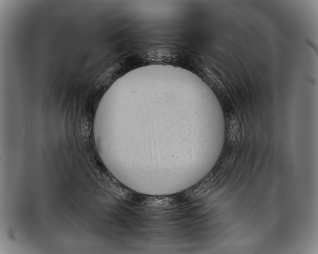 X0000097820569200804041401