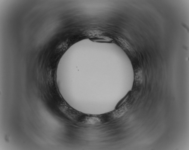 X0000097820572200804041401