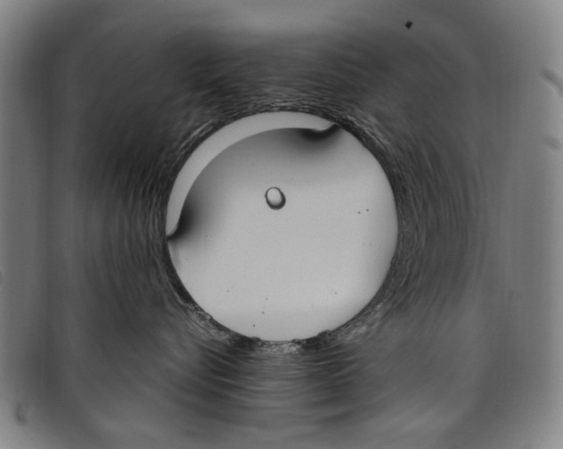 X0000097820576200804041401