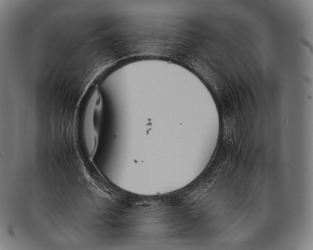 X0000097820580200804041401