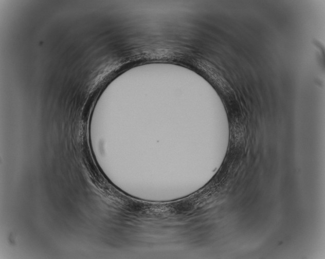 X0000097820583200804041401