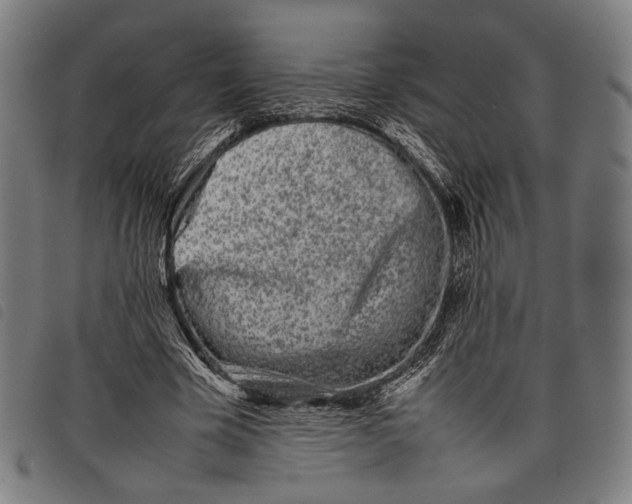 X0000097820585200804041401