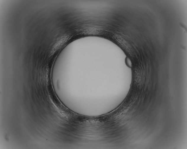 X0000097820586200804041401