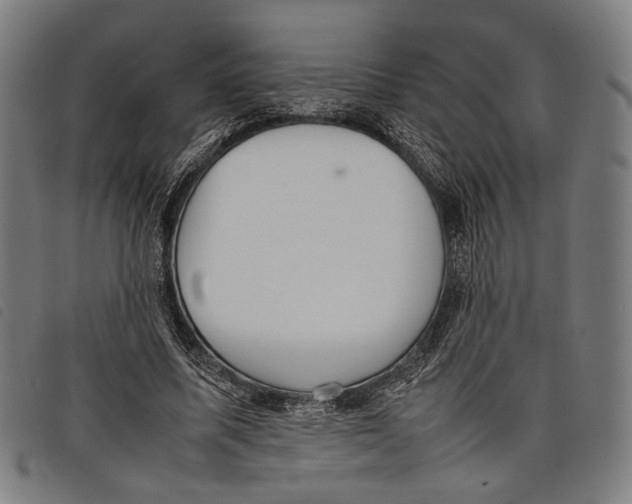 X0000097820587200804041401