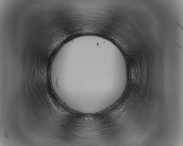 X0000097820588200804041401