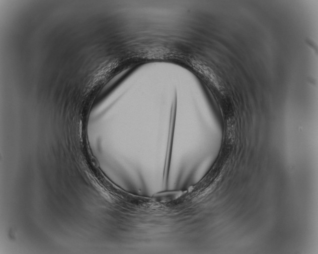 X0000097820589200804041401