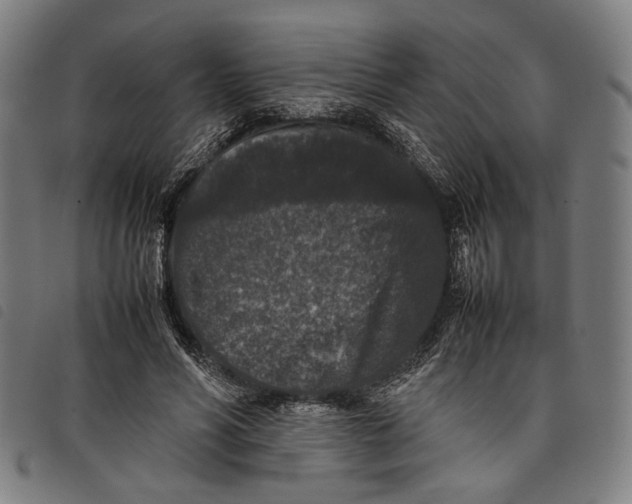 X0000097820590200804041401