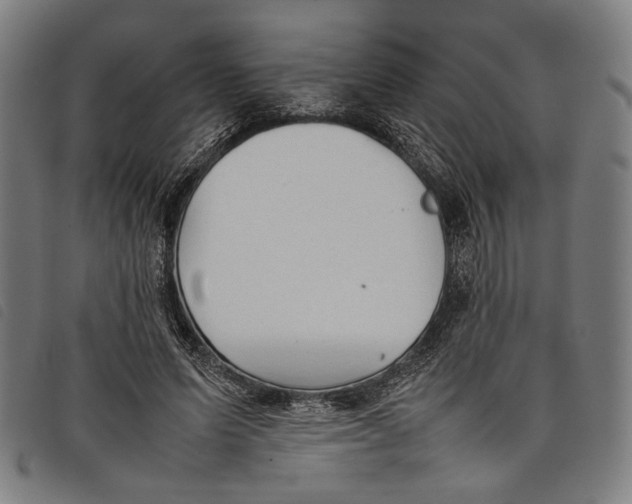 X0000097820591200804041401