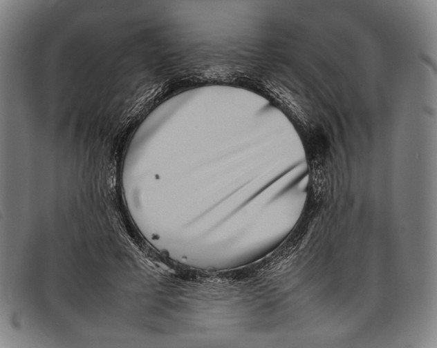 X0000097820593200804041401