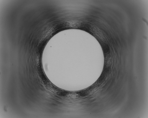 X0000097820595200804041400