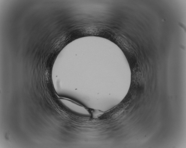 X0000097820597200804041400