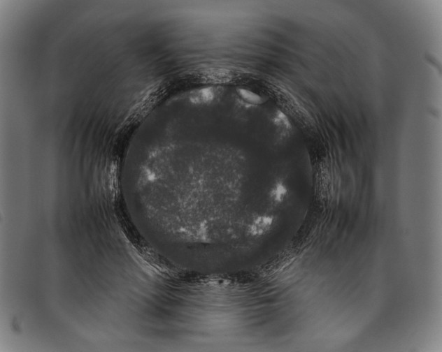 X0000097820598200804041400