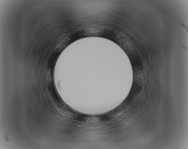 X0000097820599200804041400