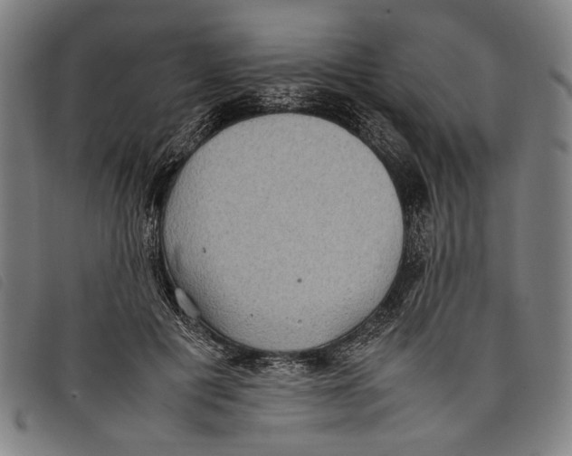 X0000097820601200804041400