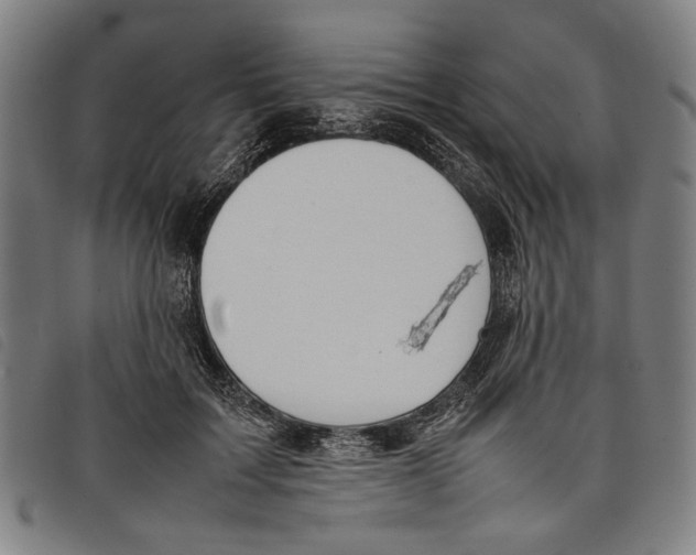 X0000097820603200804041400