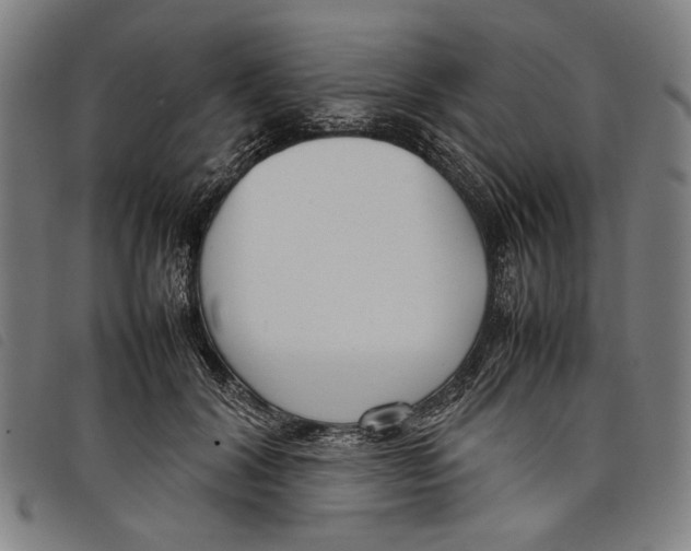 X0000097820604200804041400