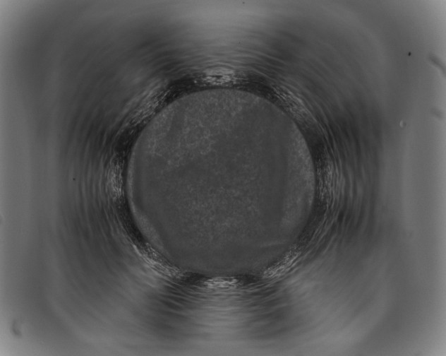 X0000097820606200804041400