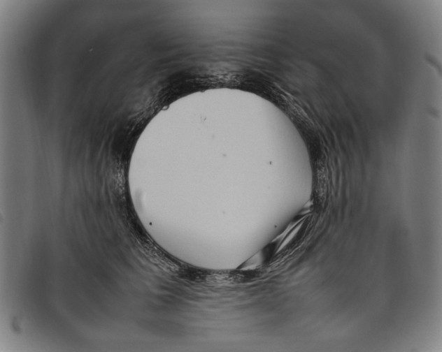 X0000097820613200804041400