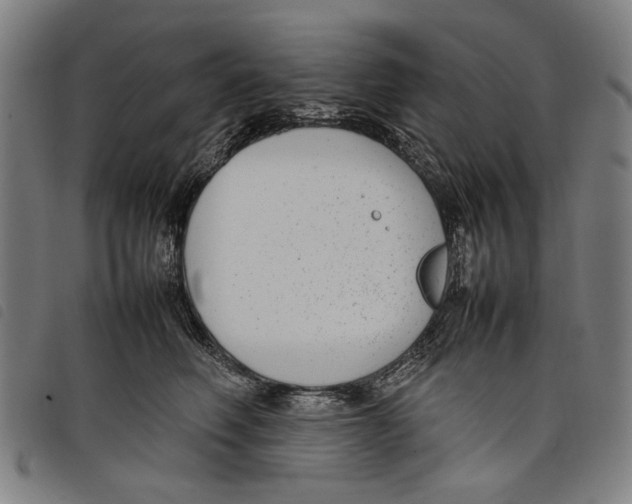 X0000097820614200804041400