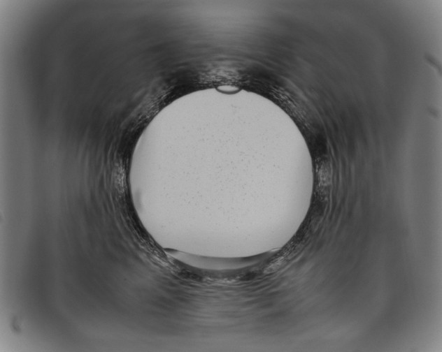 X0000097820617200804041400