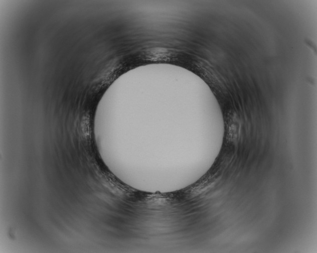 X0000097820620200804041400