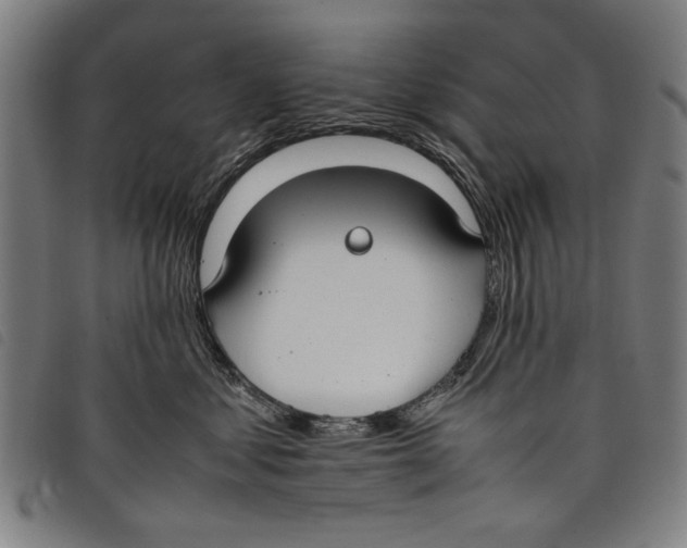 X0000097820621200804041400