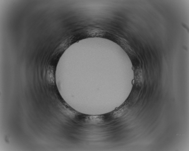 X0000097820622200804041400