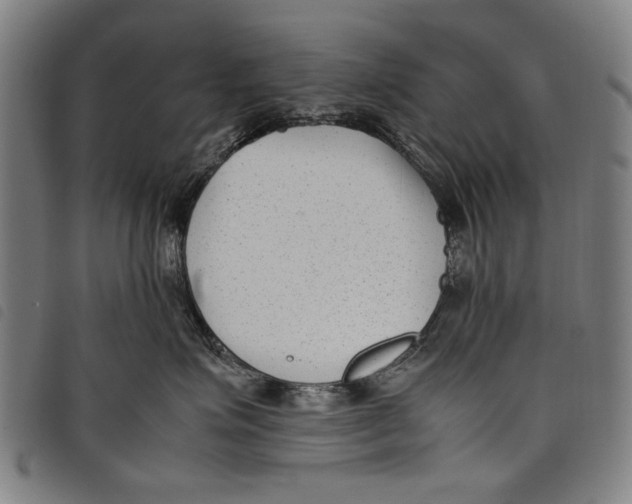 X0000097820623200804041400