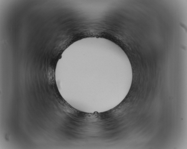 X0000097820624200804041400