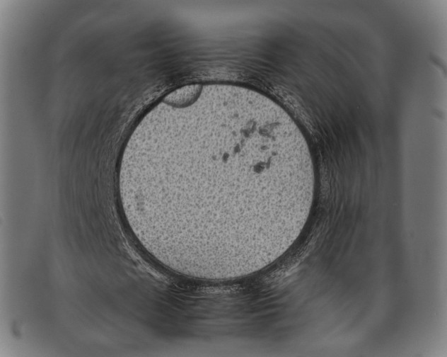 X0000097820625200804041359