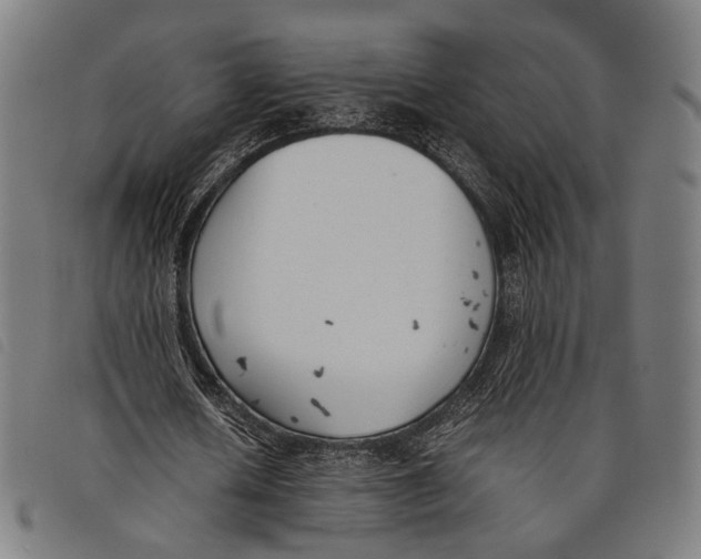 X0000097820626200804041359