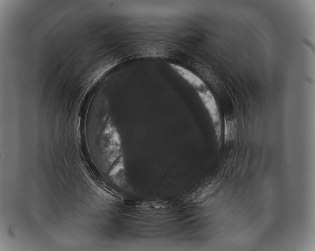 X0000097820627200804041359