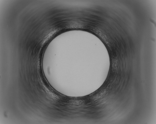 X0000097820629200804041359