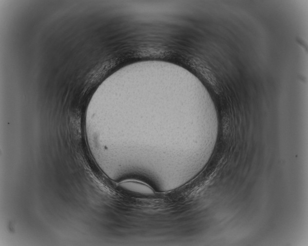 X0000097820633200804041359