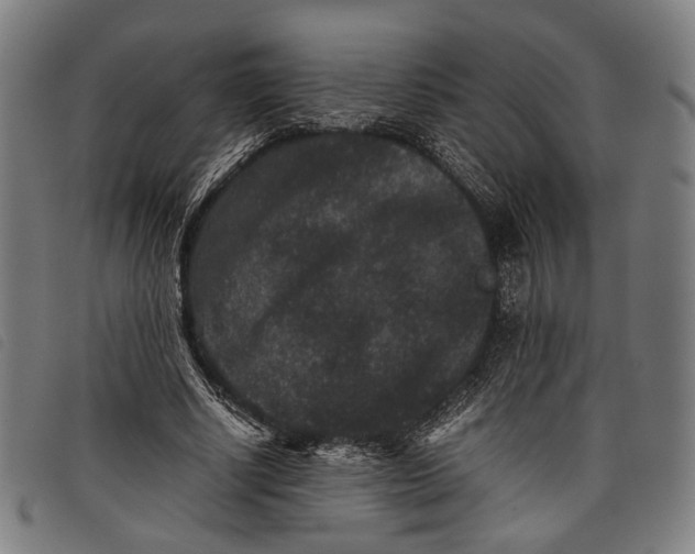 X0000097820634200804041359