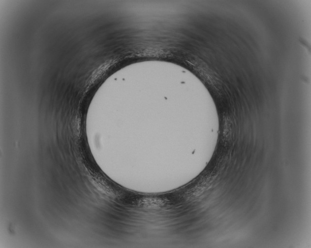 X0000097820636200804041359