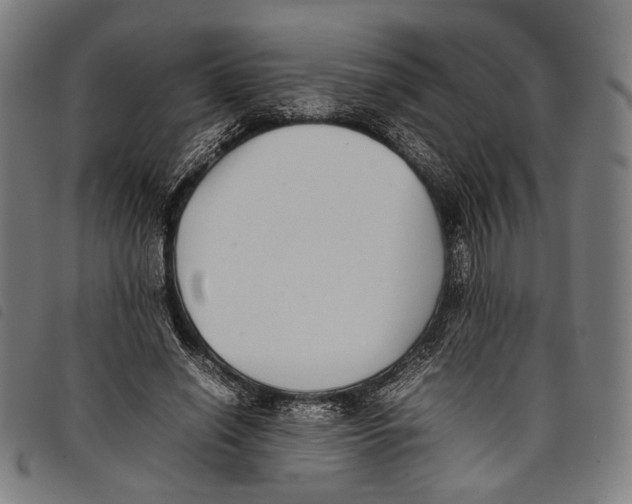 X0000097820638200804041400