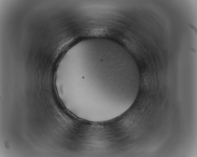 X0000097820640200804041400