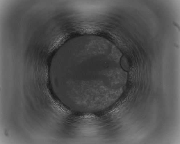 X0000097820642200804041400