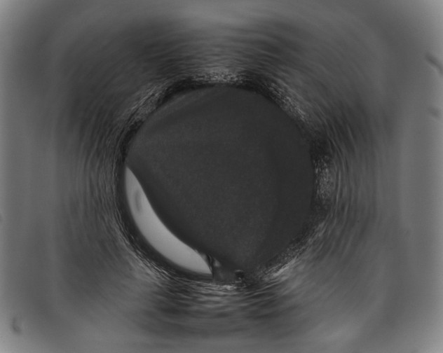 X0000097820643200804041400