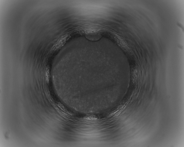 X0000097820644200804041400