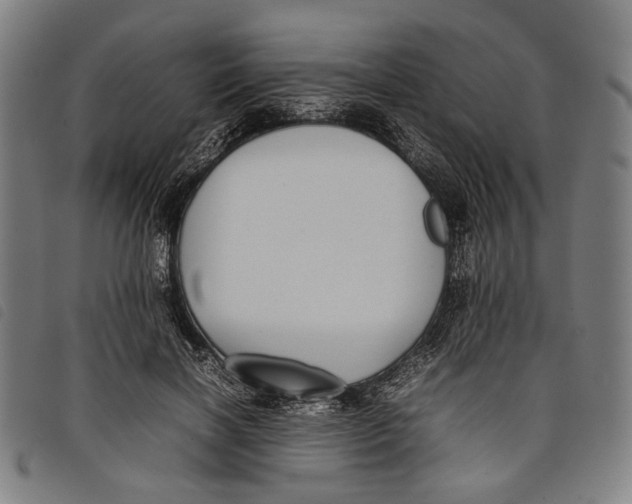 X0000097820646200804041400