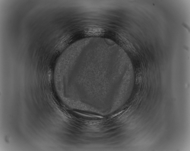 X0000097820647200804041400