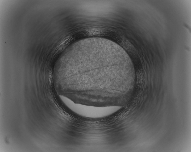 X0000097820648200804041400