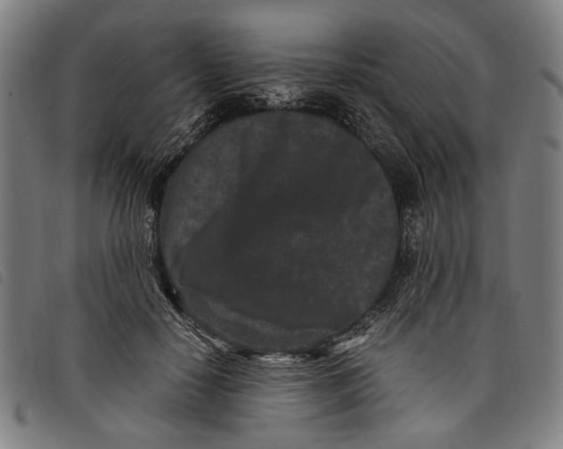 X0000097820650200804041400