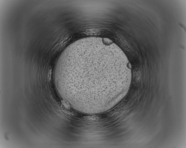 X0000097820652200804041400