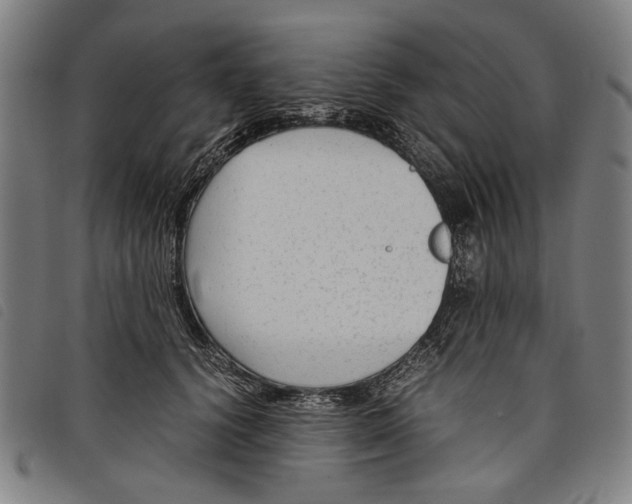 X0000097820656200804041400