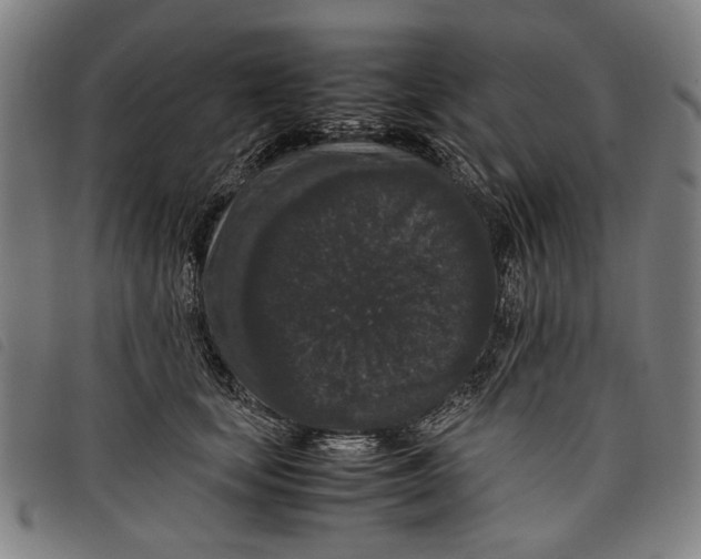 X0000097820659200804041400